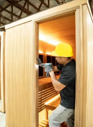 Professional Workers